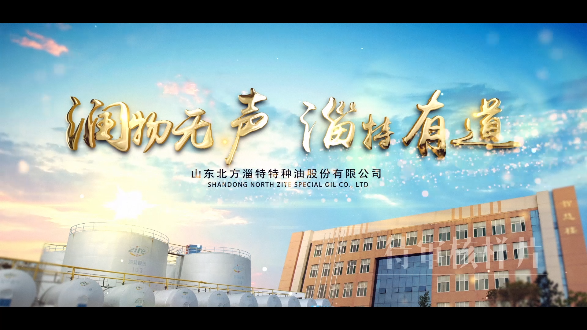 山东北方淄特特种油股份有限公司